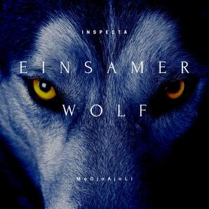 Einsamer Wolf (feat. MoDjoAjoLi)