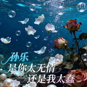 是你太无情还是我太蠢