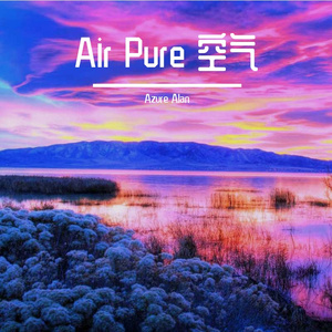 Air Pure 空气