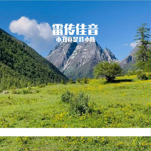 《暖枫糖》
