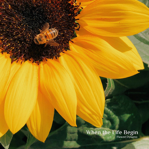 Welcome to the Strange