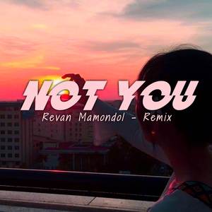 NOT YOU REMIX