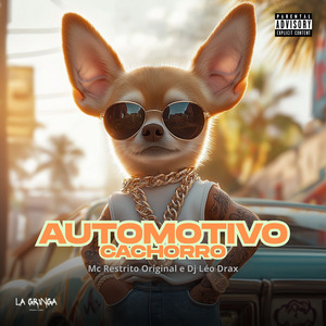 Automotivo Cachorro