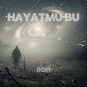 Hayatmu bu