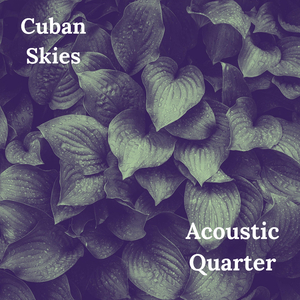Cuban Skies: Cozy