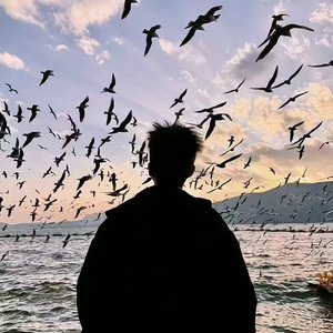 几番波折经风雪