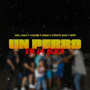 Un Perro en la Boca