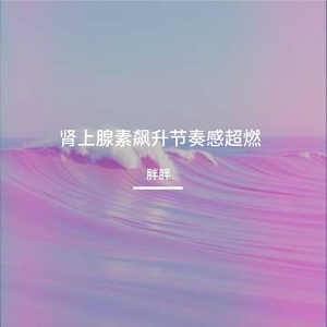 肾上腺素飙升节奏感超燃