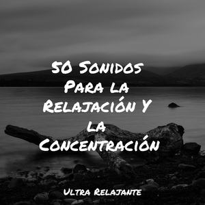 Pausas De Descanso