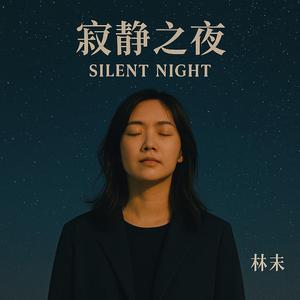 寂静之夜
