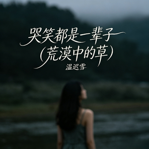 哭笑都是一辈子（荒漠中的草）