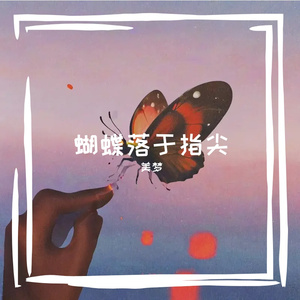 蝴蝶落于指尖