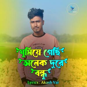 ঘুমিয়ে গেছি অনেক দূরে বন্ধু