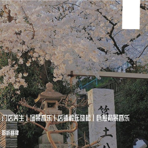 咖啡厅静谧舒缓轻音乐