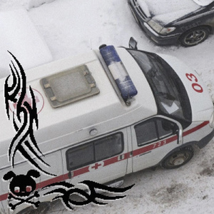Звёзды