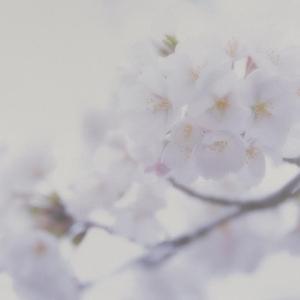 年轻人的烦恼