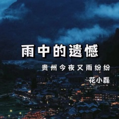 雨中的遗憾(贵州今夜又雨纷纷)