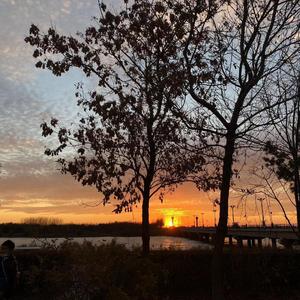 遗憾（李代沫版）