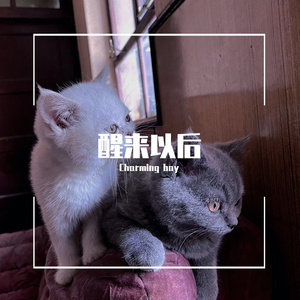 醒来以后（Prod By Red killer）