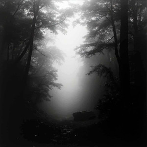 在时间里种下晨光