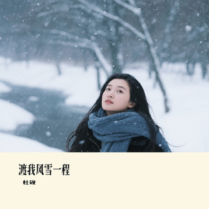 渡我风雪一程
