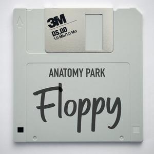 Floppy