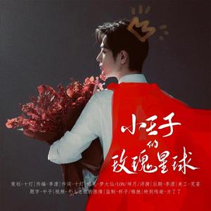 小王子的玫瑰星球