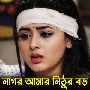 পোড়া মনের ভালোবাসা | Ankhi Bhore Dekhi