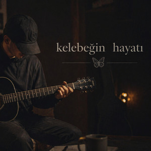 Kelebeğin Hayatı