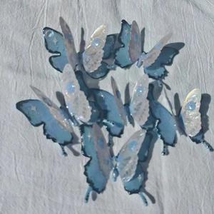 星光海（Cover：队长）