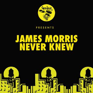 Never Knew (Original Mix)