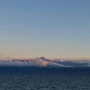 Captured (feat. Michèle Costantini)