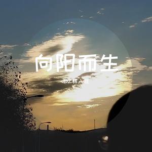 向阳而生