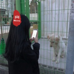 恋爱的麻烦 (DJ版)