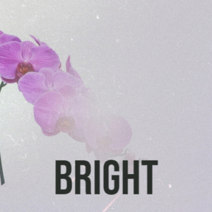 Our Company Your Trust