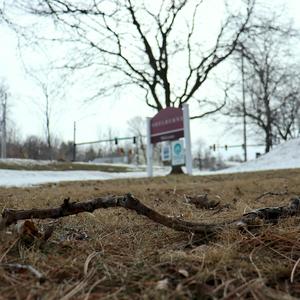 Shelburne