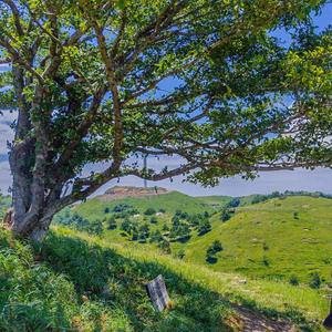 大能人-山楂树之恋remix 查理/Cindy（翻自 大能人）（AKA.查理 Remix）