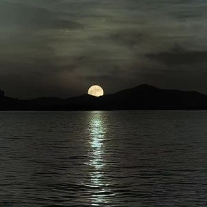 你已把我的心磨平