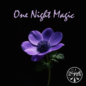 One Night Magic