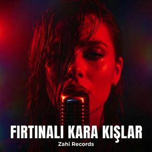 Fırtınalı Kara Kışlar