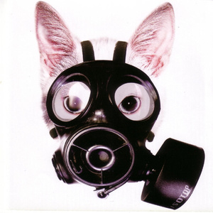 Iso (Syndrome X/209 Mix)