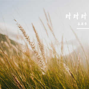 对对对