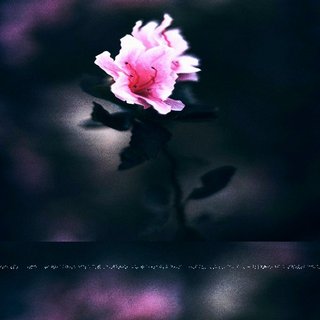 Lofi‖窗外的雨伴随着耳朵里的老故事