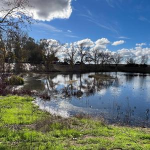 The Last Ride (feat. J.J. Fly, Roger Buhl & C.L. Fly)