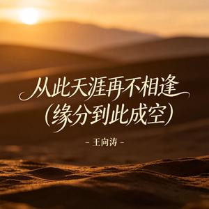从此天涯再不相逢(缘分到此成空)