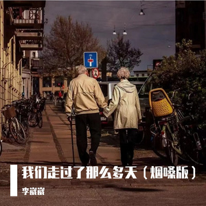 我们走过了那么多天（烟嗓版）