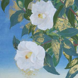 camellia（fast）
