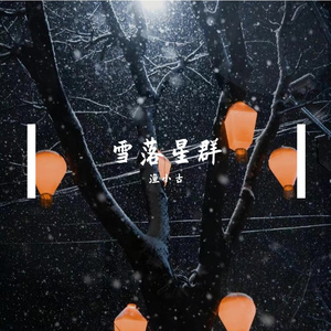 雪落星群