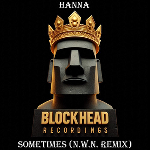 Sometimes (N.W.N. Remix)