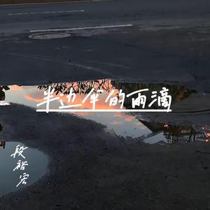 半边伞的雨滴